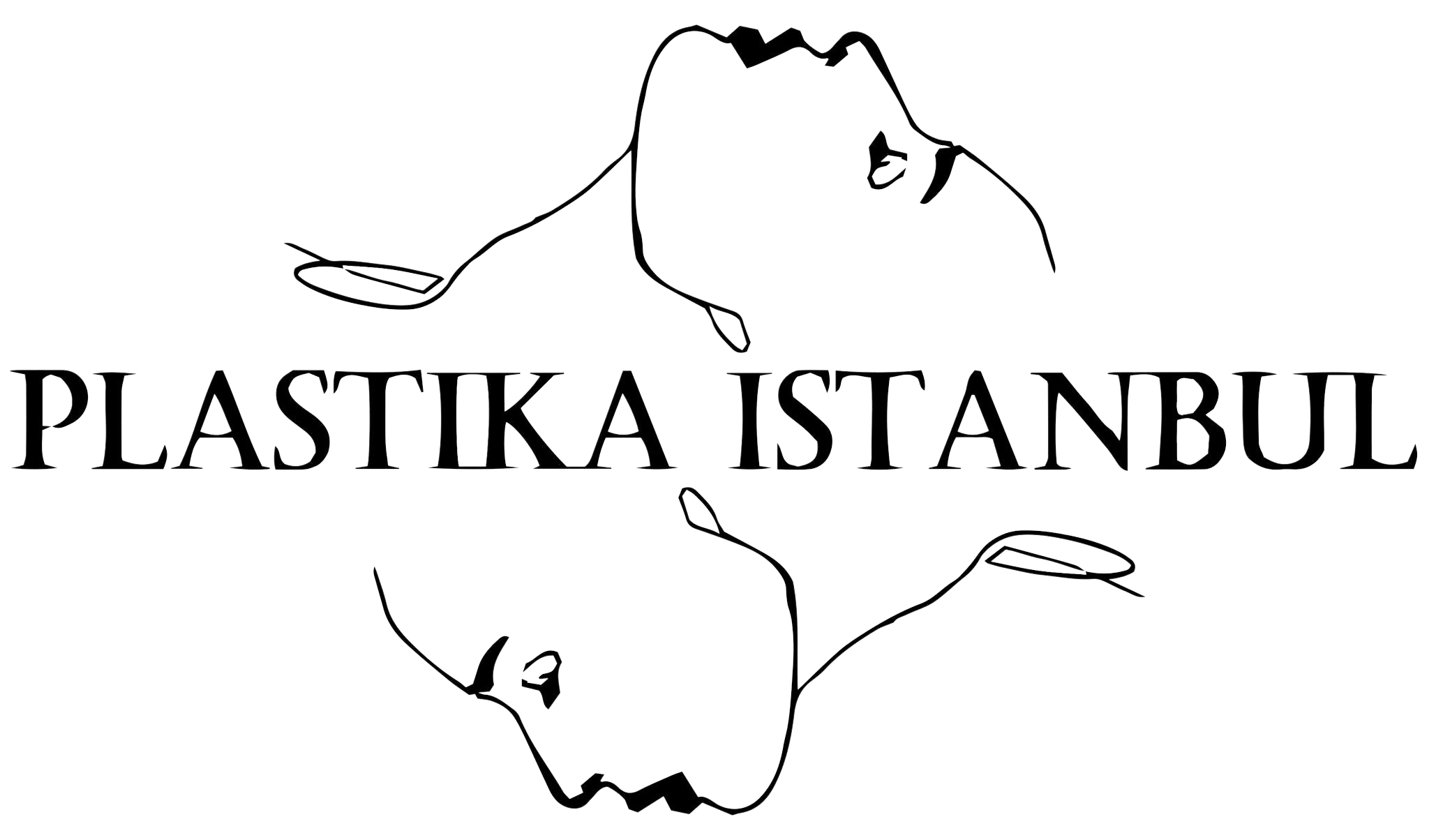 Plastika Istanbul